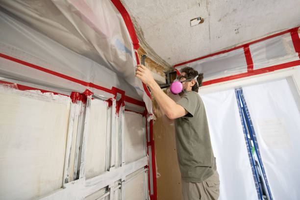 Best Mold Remediation for Healthcare Facilities  in Kyle, SD