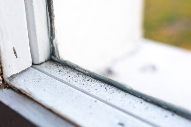Best Emergency Mold Remediation  in Kyle, SD