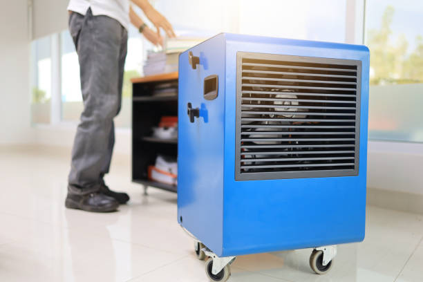 Best Air Quality Testing for Mold Spores  in Kyle, SD